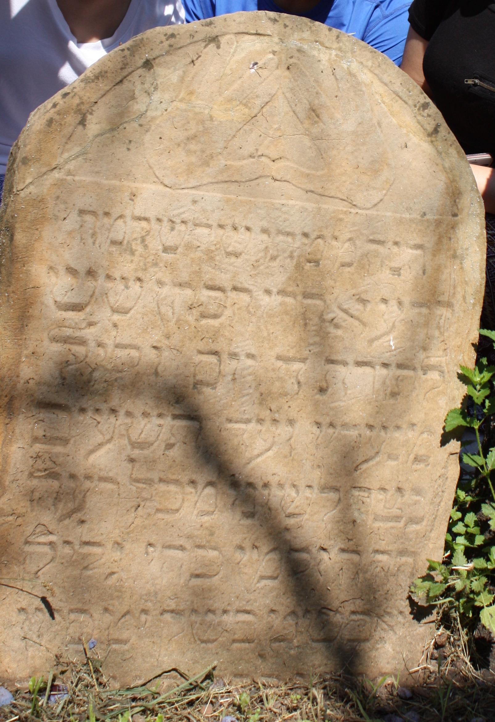 Salomon Glück, Plot 221