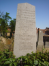 Pinkus Rebenwurzel, Plot 530